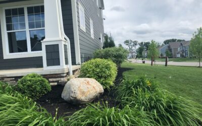 Major Landscaping Design Mistakes That Could Be Costing You